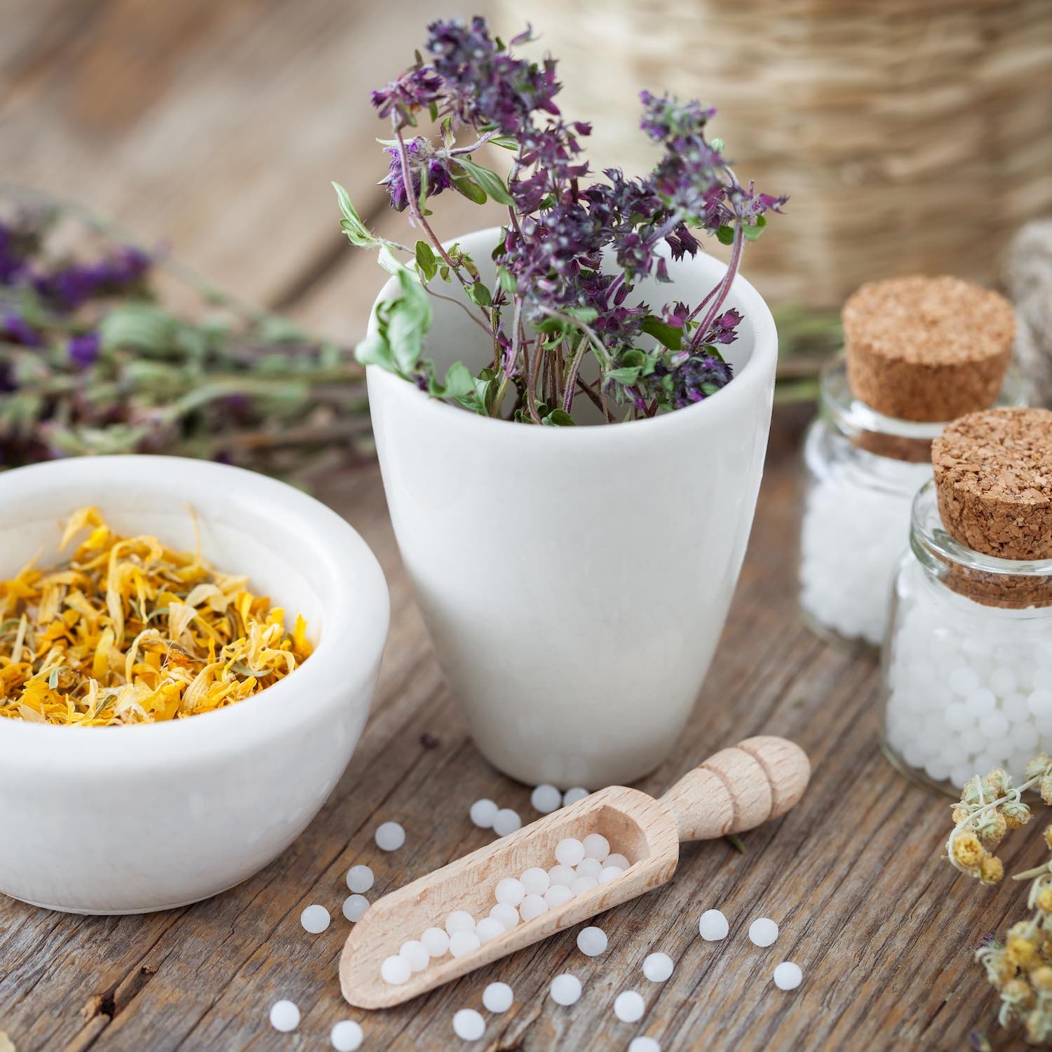 Homéopathie, Pharmacie Blanchart, Niort, Chauray